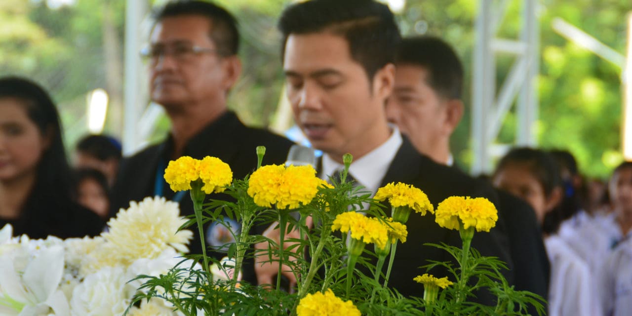 ปลูกดาวเรืองถวายพ่อหลวง
