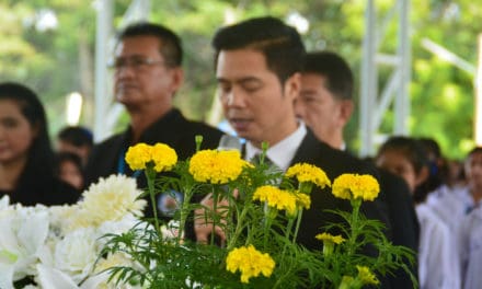 ปลูกดาวเรืองถวายพ่อหลวง